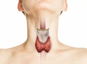 iStock-1316252973 iStock-1316252973